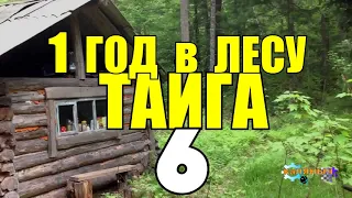 ДИКИЙ ГОД В ГЛУХОЙ ТАЙГЕ | ПОСТРОЙКА ЗИМОВЬЯ | ПЕЧЬ ДЛЯ ЗИМОВЬЯ | ВСТРЕЧА С МЕДВЕДЕМ 6 из 14