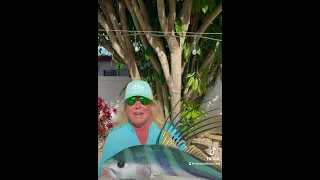 Love my new Trophy @kingsailfishmounts1283 Catch it, measure it, photo release. #1 Conservation