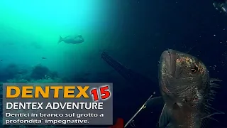 DEEP DENTEX SPEARFISHING WITH PATHOS SNIPER ROLLER