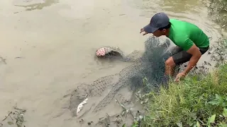 Hunting 65KG Giant Fish With Cast Net Fishing!