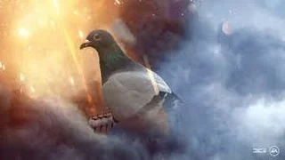 Battlefield 1 Pigeon Gameplay   Most Speechless Scene Ever