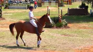 Mustang Demo - Red Hills Int'l Horse Trials - Elisa Wallace with Fledge & Rune