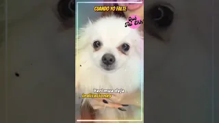 YERI MUA deja indicaciones en caso de pasar a otra vida ♥️