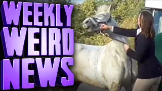 CANCELLED for PUNCHING a PONY - Weekly Weird News