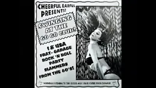 Various ‎– Swinging At The Go Go Club! : USA Frat-Garage Rock 'N Roll Party Slammers From The 60's!