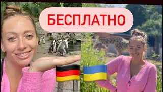 На ХАЛЯВУ В ГЕРМАНИИ 🇩🇪Для Украинцев Бесплатно 🇺🇦