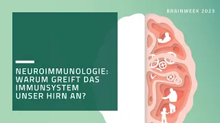 Brainweek 2023 - Neuroimmunologie: Warum greift das Immunsystem unser Hirn an?