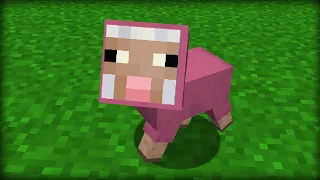 36 Rarest Things in Minecraft