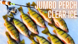 How to Catch Jumbo Perch Ice Fishing with Jaw Jacker and Tungsten Jigs