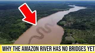 Why The Amazon River Has No Bridges Yet? | Amazon Rainforest | Amazon River
