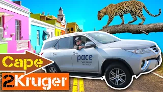 CAPE TO KRUGER 🚙 Self Drive Adventure | Pace Car Rental