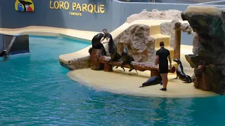 Loro Parque