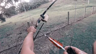 Trad bow Rabbit Nz