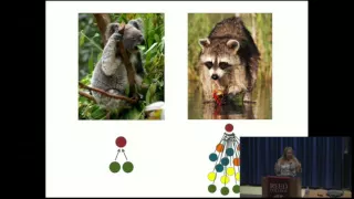 Jennifer Dunne: The Web of Life: Humans as a Part of Complex Ecological Networks