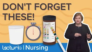 URINE DIPSTICK: Intro & What Items You'll Need for Urinalysis– Med-Surg Nursing | Lecturio Nursing