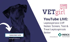 VETgirl YouTube LIVE Webinar: Leptospirosis Cliff Notes: Screen, Test & Treat Leptospirosis Better