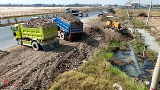 Rocky Soil In Pond Dam Of New Filling & Skills Operator D31P Komatsu BullDozer PuSh IN To WaTer