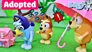 Bluey's Search for Belonging and Acceptance: Not Just a Foster Child | Fun Kids' Story