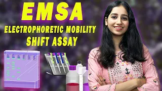 EMSA I Electrophoretic Mobility Shift Assay I Band Shift Assay I DNA Protein Interaction I Gel shift