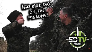 S&C TV | Shooting with Andy Crow 12 | 160 bird day pigeon shooting over rape!