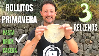 ROLLITOS DE PRIMAVERA CON MASA CASERA FÁCIL - GUILLE RODRIGUEZ