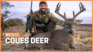 The grey ghost: Most elusive white-tailed deer, Coues deer hunting in Mexico.