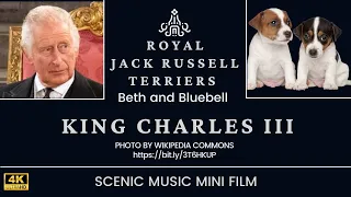 ROYAL JACK RUSSELLS 4K UHD - King Charles’ Favourite Dogs with Relaxing Music