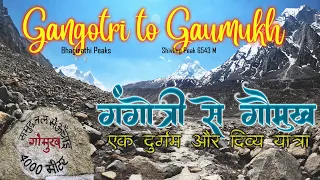 Gangotri to Gaumukh  Trek- Origin of Ganga | गंगोत्री से गौमुख की दुर्गम यात्रा - गंगा का उद्गम  |