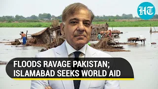 Pakistan 'begs' for global funds as flood death toll tops 800 amid economic crisis