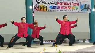 Chen Style Taiji Laojia Erlu - Fengshan CC 陈式太极拳老架二路