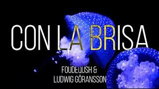 FONDEQUSH - CON LA BRISA (LYRIC VIDEO)