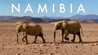 NAMIBIA | Epic landscapes + iconic animals + powerful music