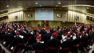 Cardinals gather to elect new pope