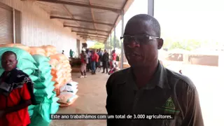 (Portuguese Subtitles) USAID Grant Supports Better Crop Prices in Mozambique (ECA-Cargill)