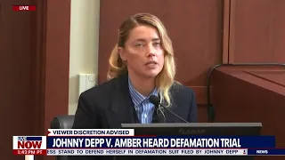 Amber Heard & Johnny Depp do MDMA with flight attendant who got 'friendly' mid-flight