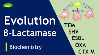 Evolution and types of Beta-lactamases | ESBL | Antibiotic Resistance | Basic Science Series