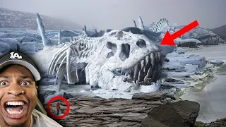 Scientists Terrifying New Discovery Species In The Arctic!!