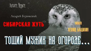 Сибирская Жуть: ТОЩИЙ МУЖИК НА ОГОРОДЕ… (автор: Андрей Буровский).