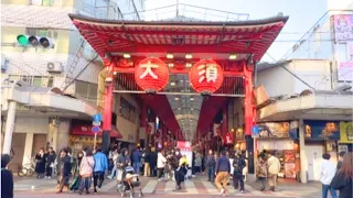 [Aichi Prefecture] I was fooling around! Eating and drinking in the Osu shopping district