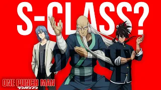 Every S-CLASS Level Character In One-Punch Man
