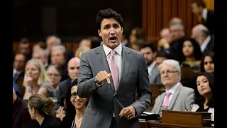 Question Period: Environmental assessment bill, political ads, single-use plastics — June 11, 2019