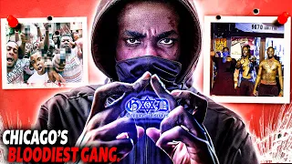 The Only Gang The Bloods & Crips TRULY FEAR - The Gangster Disciples