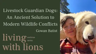 Livestock Guardian Dogs: An Ancient Solution to Modern Wildlife Conflicts