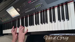 Небо над землёй~Тимур Темиров/piano cover Vard Grig