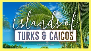 TURKS & CAICOS Pt. 1 🇹🇨 | 10 Amazing things to do
