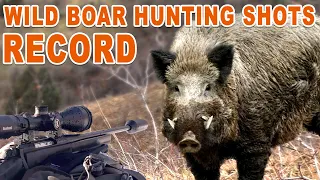 Wild Boar Hunting Shots Record // Chasse record au sanglier - 2023