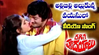 ALLIBILLI ALLUKUNNA VAYASULO |  RAGILE HRUDAYALU | VIDEO SONG | KRISHNA | JAYA PRADA | V9 VIDEOS