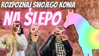 ROZPOZNAJ SWOJEGO KONIA NA ŚLEPO