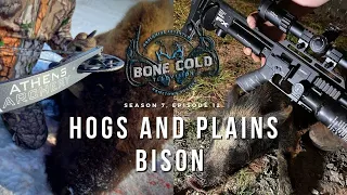 Season 7 Episode 12 Hogs and Plains Bison