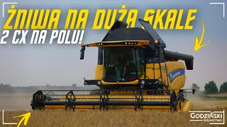 10t/ha🔥Żniwa na dużą skale! 🔥Jęczmień ozimy 🔥2cx na polu🔥3x Newholland🔥UR/PR Godziński🔥Nowy nabytek🔥